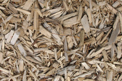 biomass boilers Llandefaelog
